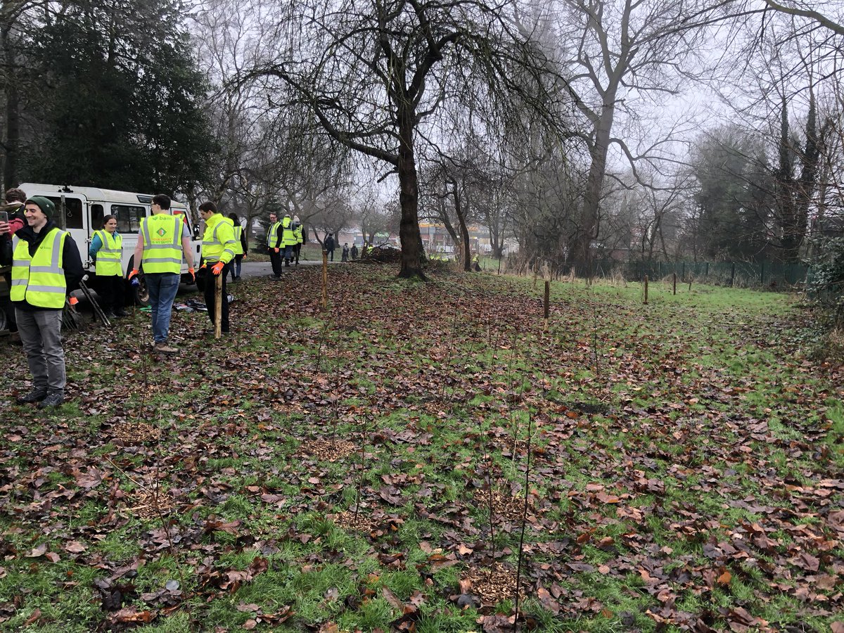 Busy day with <a href="/FChorltonPark/">Friends of Chorlton Park</a> helping to plant trees, improve drainage and clear brambles to create a natural coppice with @BAMConstructUK <a href="/bdp_com/">BDP</a> #chorltonpark #volunteering