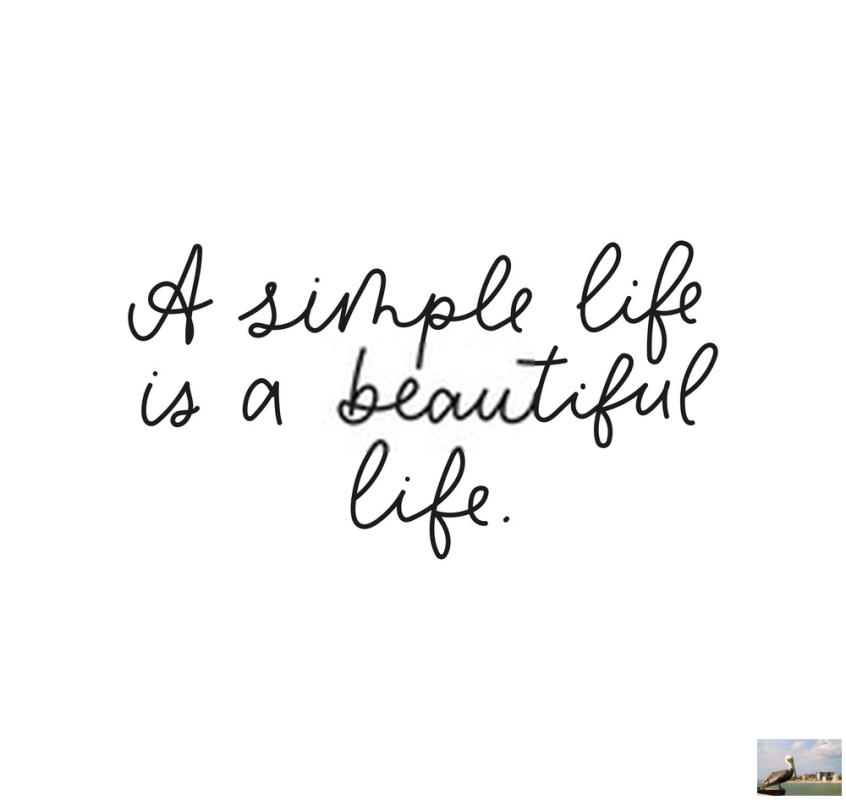 BizWebsiteCheap's tweet image. When you become a parent, you leave a lot of things behind and refocus, maybe on how #SimpleLife really is and what #FewThings there really are to worry about. And everything else can go by the wayside. Read more at 👨‍👧 😦 tinyurl.com/rjwecyd