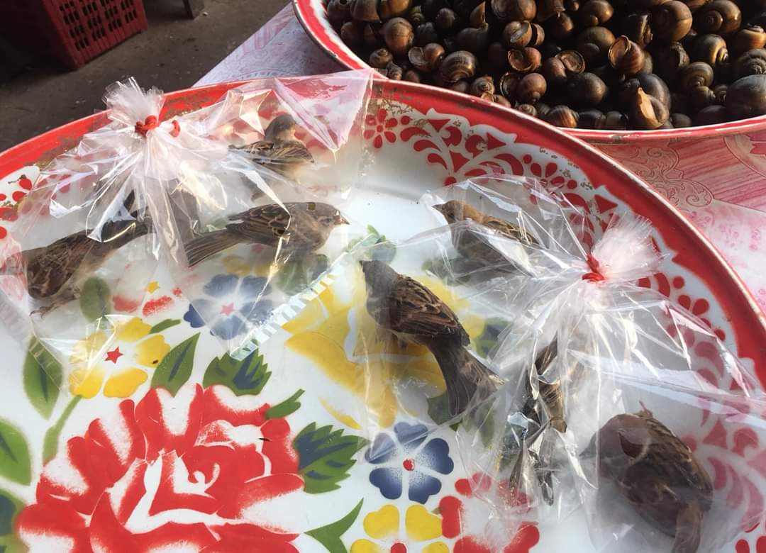 PPKORNSIWAT's tweet image. มึงอันนี้คือไม่ได้จริงๆ คิดว่าน้ำปลาพริกหรอ?