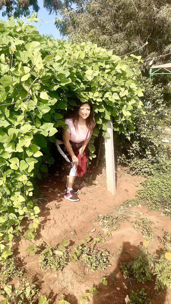 TangySorbet's tweet photo. A #staycation at @Novotelhotels #Hyderabad #Airport is always fun! #Area44 now offers great #glamping offers with tents, walk in herb garden, bonfire🔥 and the works. Most refreshing weekend spent! Best of both worlds. #NovotelHyderabadAirport @HiHyderabad @swachhhyderabad https://t.co/9zNObr3QHE