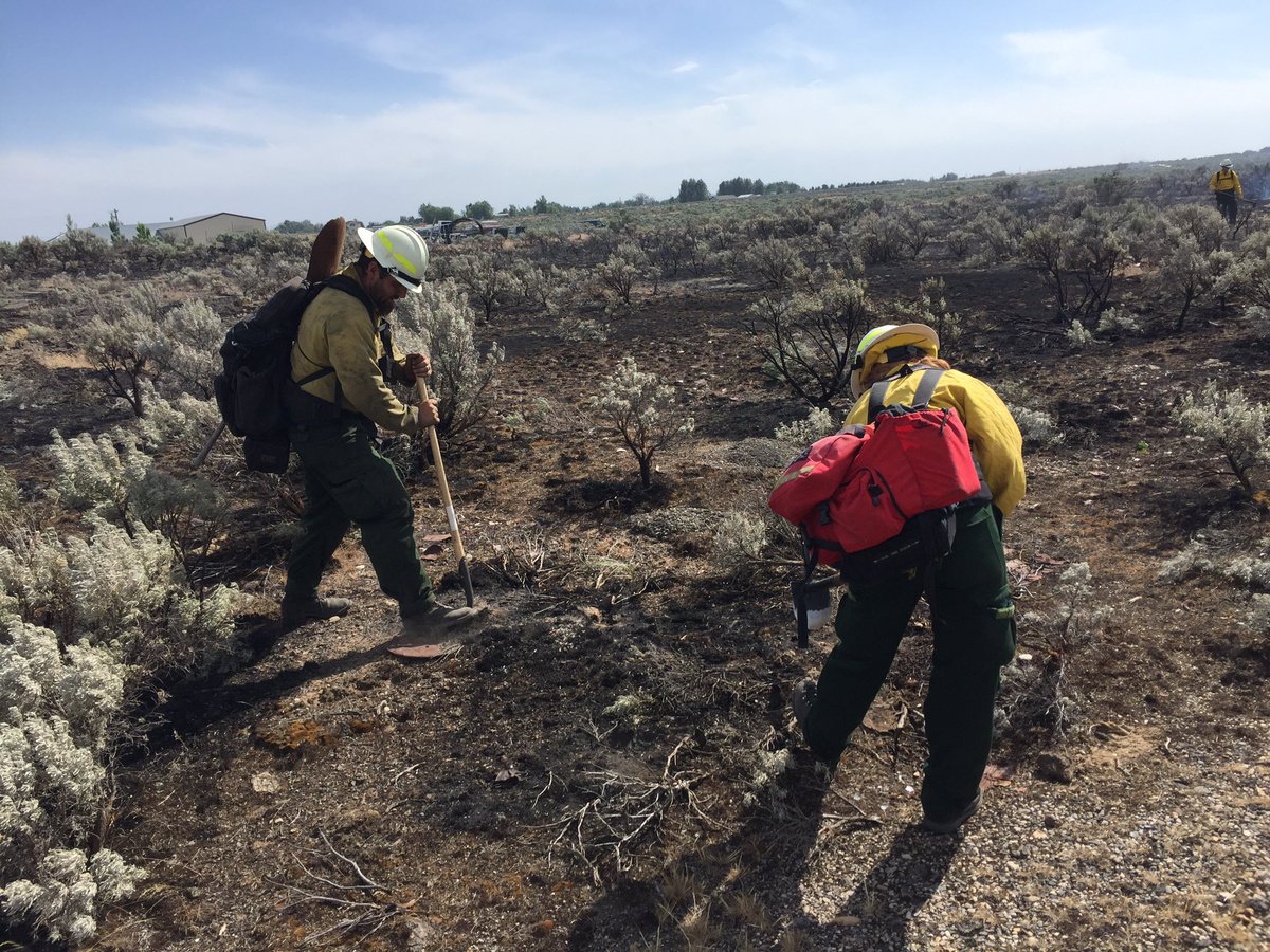 #NowHiringForestry 
Forestry Technician (Senior Wildland Firefighter)
Series/Grade:GS-062-05
Location: Twin Falls,Burley, Star, Pocatello, Idaho Falls,Boise, Bruneau,Hammett , Idaho #BLMTFDFire, #BLMIFDFire,#BLMBoiseFire
The closing date: 02/05/2020
usajobs.gov/GetJob/ViewDet…