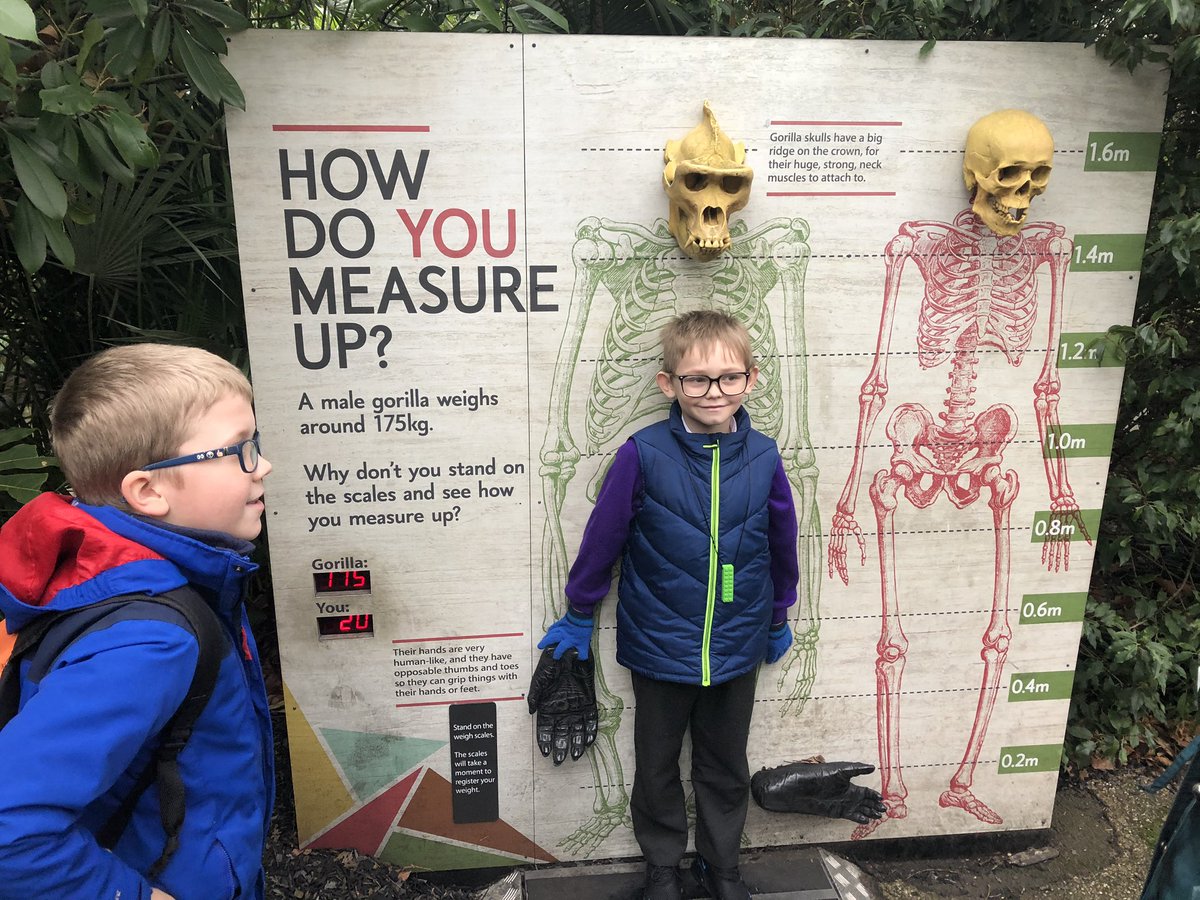 What a great day <a href="/zsllondonzoo/">London Zoo</a> the children have had a wonderful time linking to their learning of endangered animals. <a href="/AshclassEPS/">AshEPS</a> <a href="/PrimaryElaine/">Elaine Primary</a> <a href="/InspireSELondon/">not in use</a>
