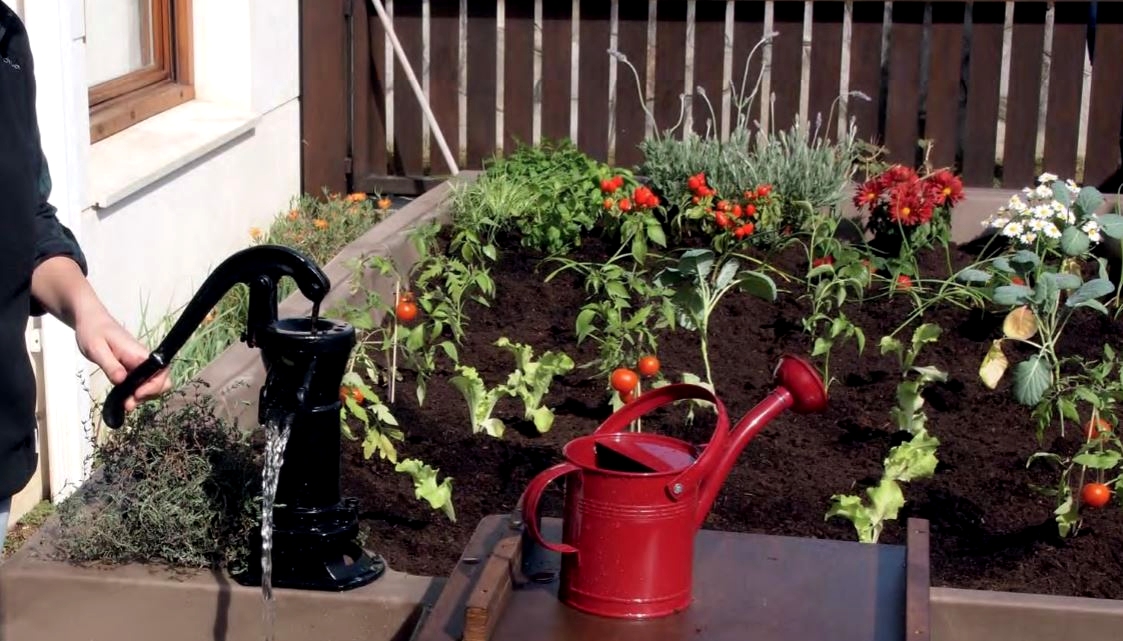 Ceci... ou cela? rdv sur option-naturelle.com