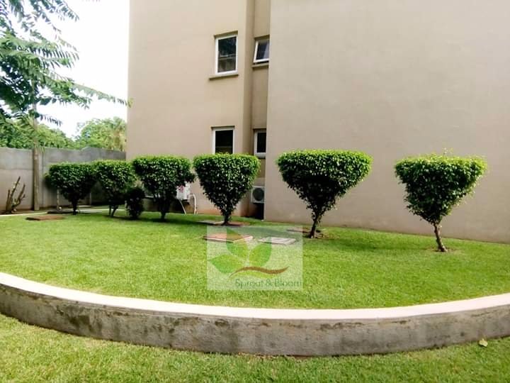 sproutandbloom's tweet photo. When it comes to garden &amp; lawn maintenance,you just can't look beyond Sprout &amp; Bloom 😊.... We're matchless👌

#SproutAndBloom #Landscaping #Fumigation #GardenMaintenance &amp; more.. ☎ us on 0312 297946.Whatsapp 0500141333....
..for a touch of CLASS ABOVE GREEN🍃🍀😊
#PleaseShare🙏 https://t.co/3axCEFrIXL
