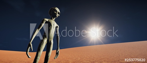 MarsStock tweet picture