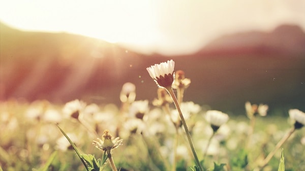 NinesShoppe's tweet photo. 3 Things You Need to Stop Doing to Live a Simpler Life https://t.co/6YtPOXiQc8 https://t.co/WieXTMFOLo