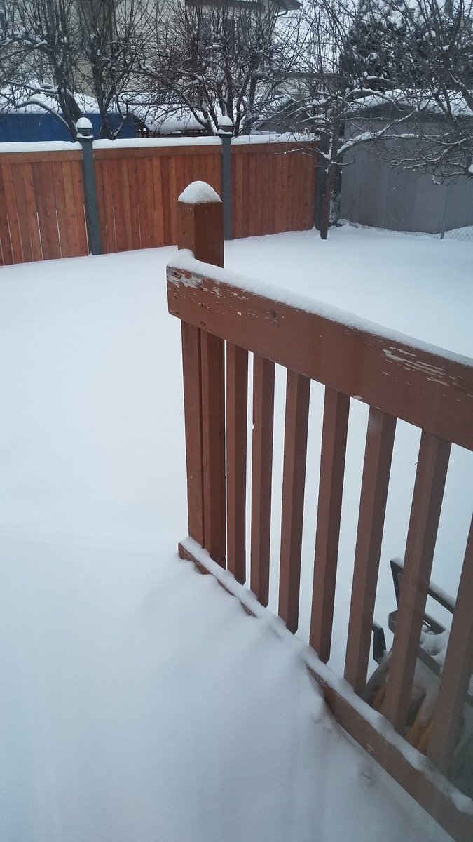 StellaCFCW's tweet photo. I've been gone so long I forgot what snow looked liked. #yegwx #ByeMexico https://t.co/zfvou4wUjl