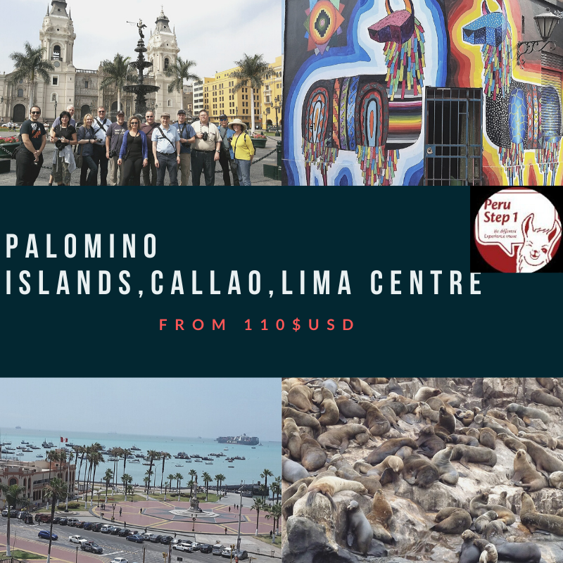 #travelers in #Lima !😃⬇️
Are you #looking for a #Fullday #tour ?
#PalominoIslands Tour
#Artistic #Callao neighborhood
Lima #historicalcentre and more! All included.