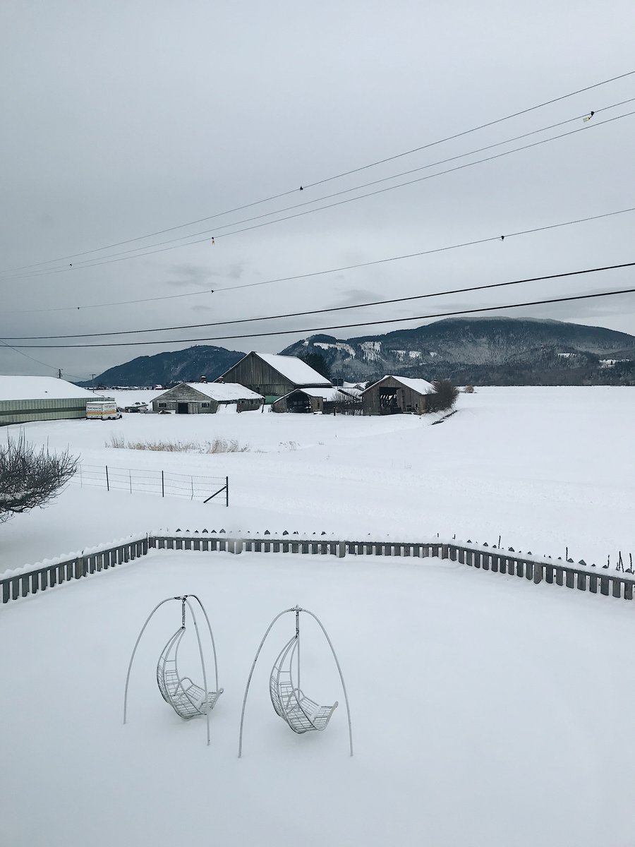 Missing this snowy view this morning.⁠
.⁠
.⁠
.⁠
#chuckanutmountains #lookingnorth #bowhillblueberries #bowwa #edisonwa #familyfarm #organicfarm #blueberryfarm #skagitvalley #skagitgrown