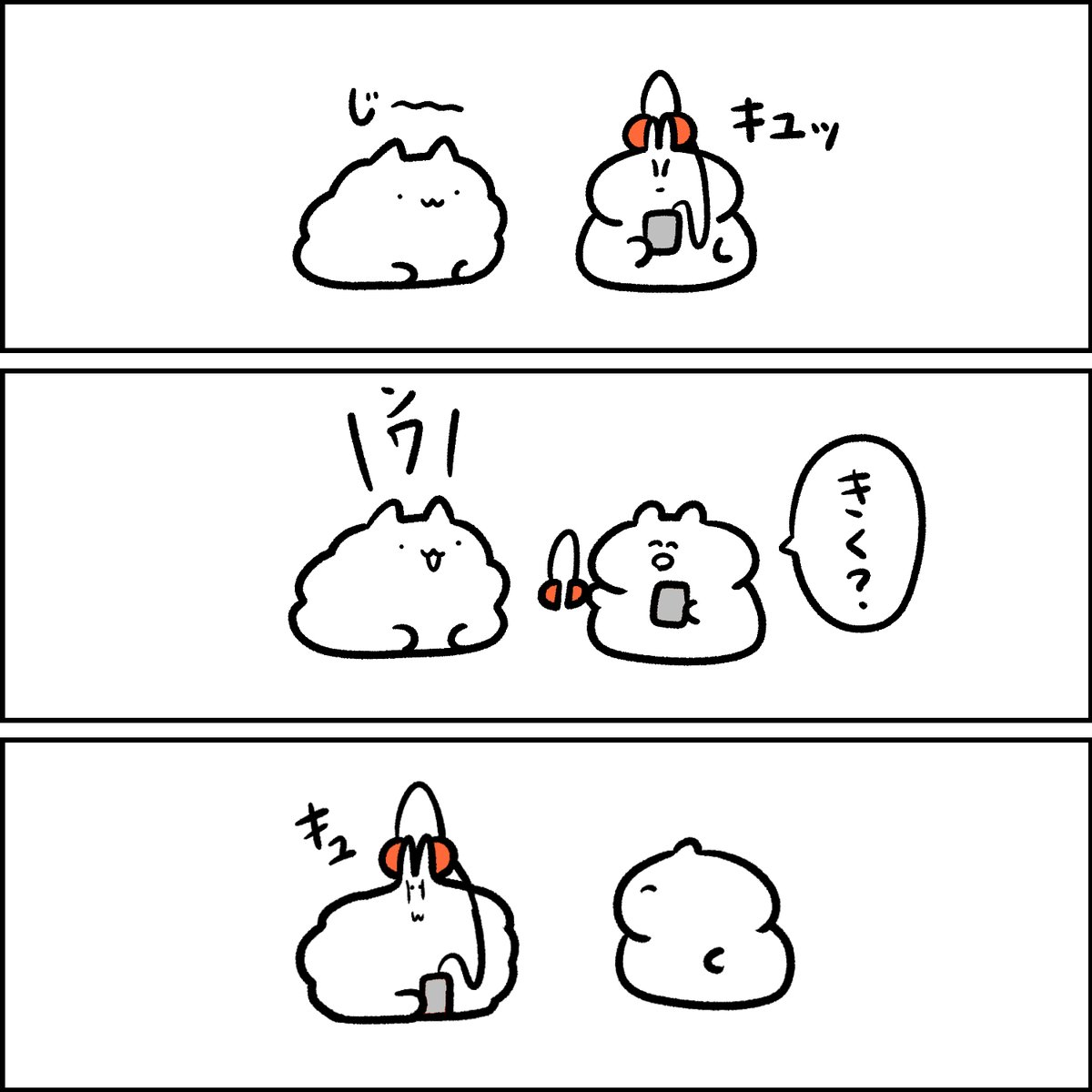 耳がキュってなるポメラニアン 