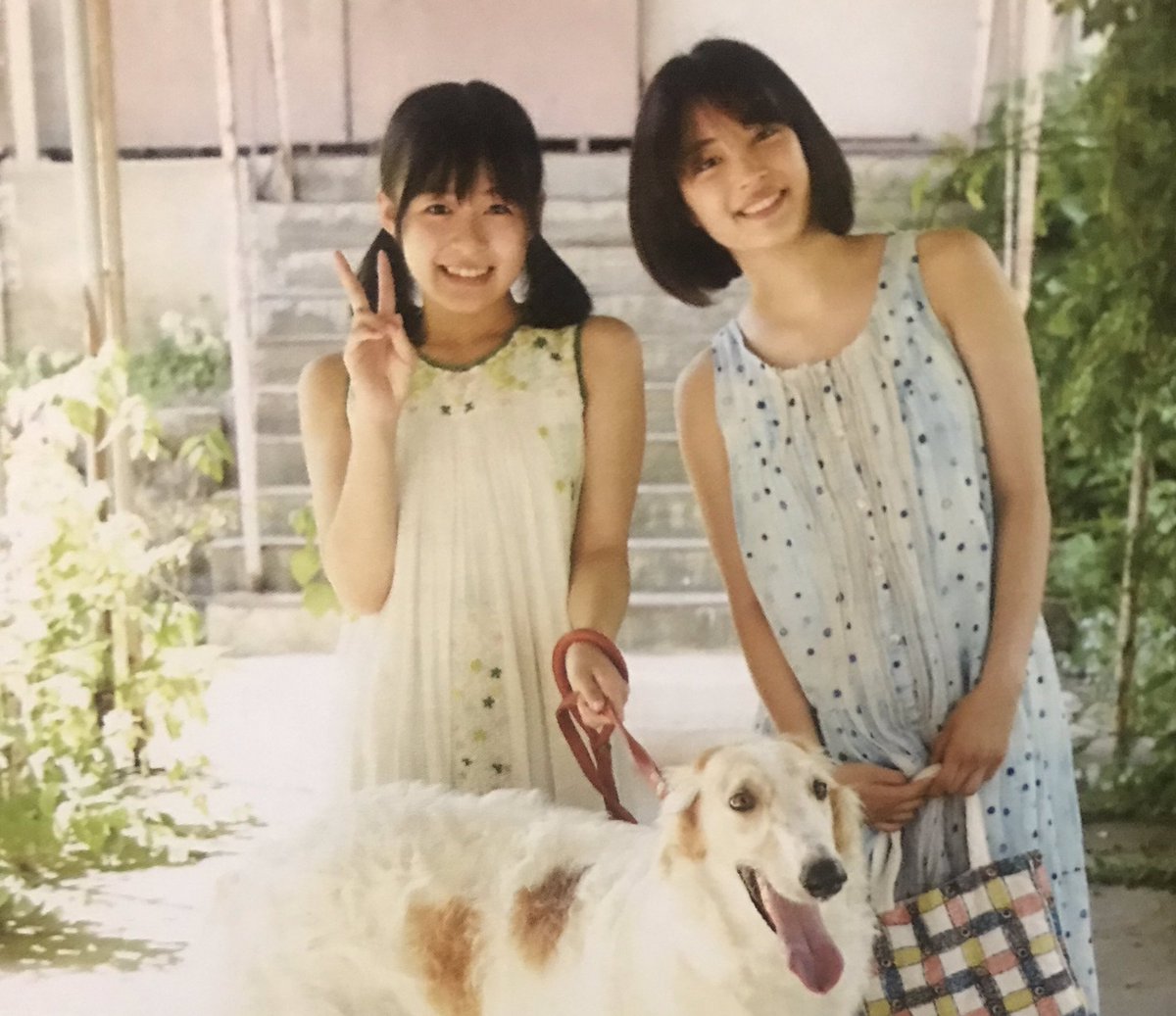 yukimintฅ՞•ﻌ•՞ฅ on X