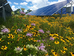 VARenEnergy's tweet photo. @Sprint announces they will be powering all of their Virginia facilities with 100% #renewableenergy in a partnership with @DirectEnergy: https://t.co/zEr3zFd4Mk https://t.co/mSlwo8E9bk