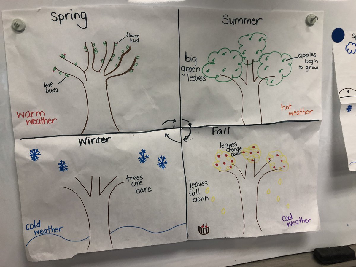 jess_stanfill's tweet photo. Today we read a text, compared a tree to a flower from another text, and did a share writing of their similarities. Fun day in K! #GESsuccess #SCSwriting #sumnercountyschools https://t.co/CAwriYmAXN