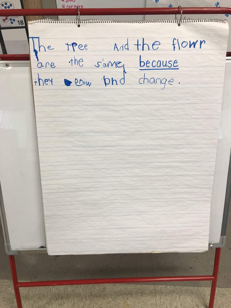jess_stanfill's tweet photo. Today we read a text, compared a tree to a flower from another text, and did a share writing of their similarities. Fun day in K! #GESsuccess #SCSwriting #sumnercountyschools https://t.co/CAwriYmAXN