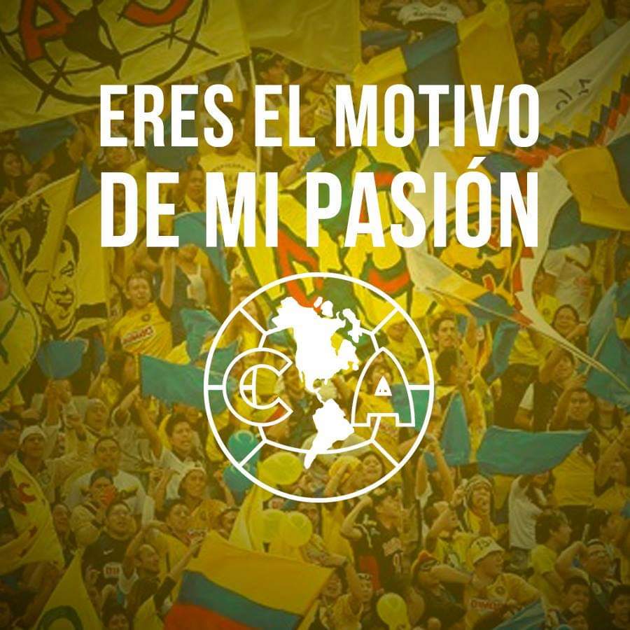 FannyGo69324973's tweet photo. @PepeAguilar 💙💛💙💛💙💛💙💛💙💛💙💛 https://t.co/o83NCRYdo7