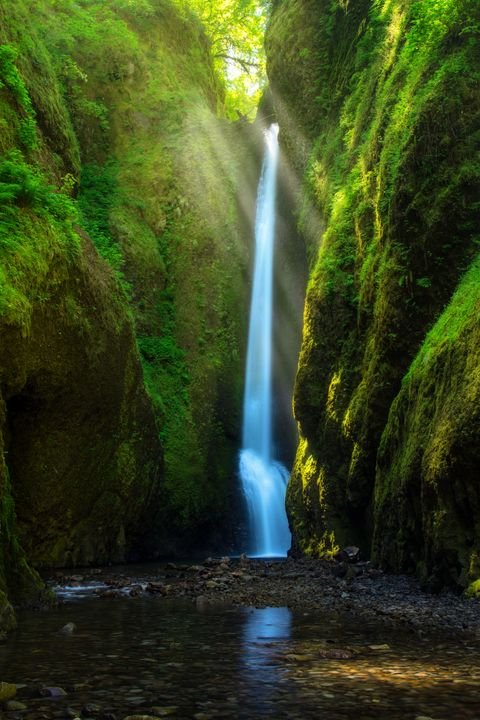 ClattSri's tweet photo. Oneonta gorge,america https://t.co/jr5TNhg4Sp