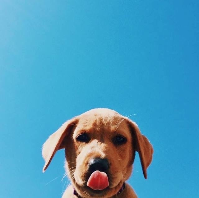 pictures (@pictures) on Twitter photo 