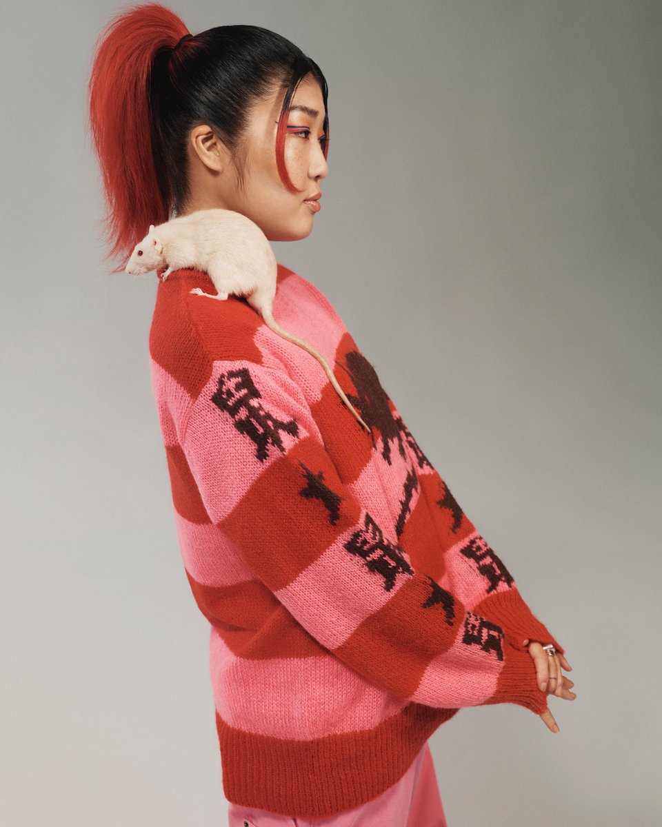 Stray Rats tweet media