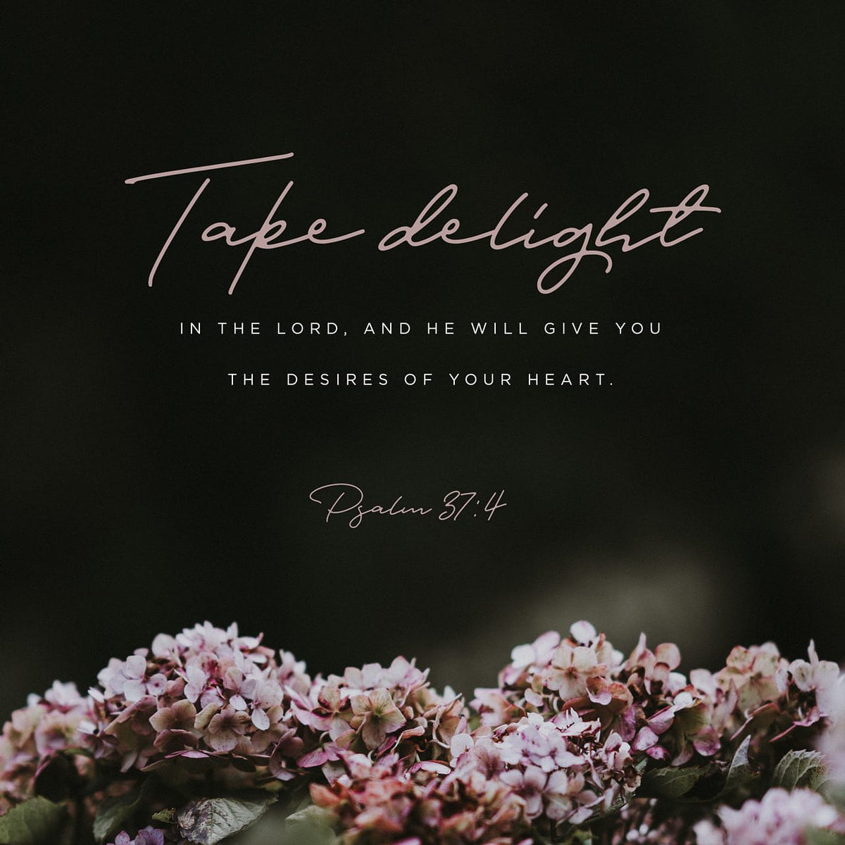 AbndntLyfe's tweet image. Good #WinningWorshipWednesday Morning...now I know this #verseofscripture #soundsrealgood and #makesyouthink "oh if I just be #happyintheLord" HE'll #giveme what I want...#nope‼ God is not our personal ... instagram.com/p/B7oJ4lyhkTx/…