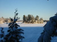 Have you checked this out? conta.cc/2v2RkSB