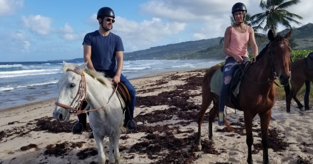 NatureFunRanch's tweet photo. When you are ready for your Horseback Beach ride, give us a call - 851-1637. Support a great cause, Support youth directly and enjoy the beauty of the great outdoors 😍 #youthdevelopment #crimeprevention #nature #horsebackriding #naturefunranch https://t.co/fqpMX7xcUP