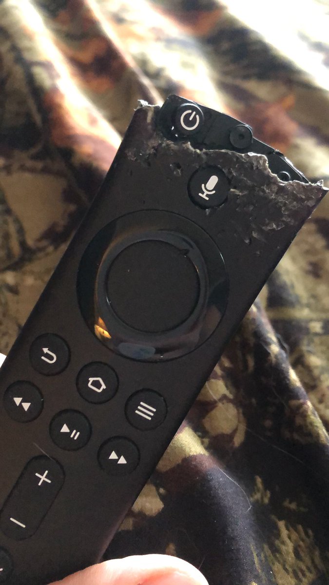 futureblind's tweet photo. @amazon just hooked this thing up last week - RIP 😭😭😭 #firestick #puppiesareevil https://t.co/YMNugm1jZN