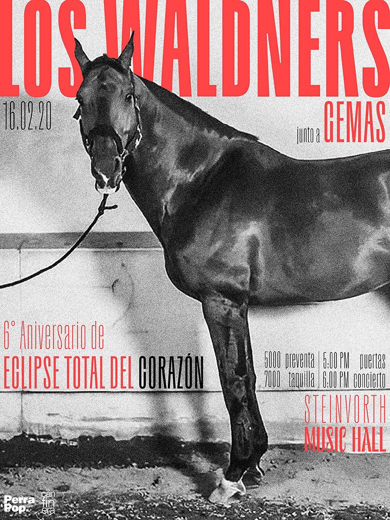 Los Waldners tweet media