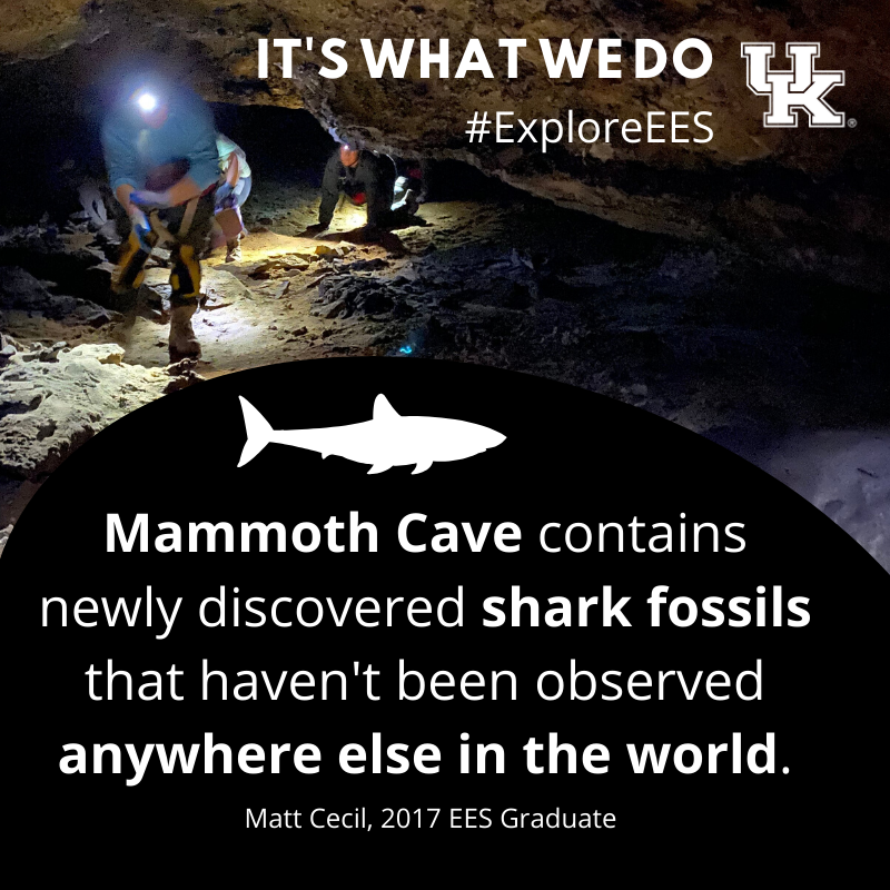 UK_EES's tweet photo. Picture this: You're in a cave. You're working with a team of scientists finding Great White-sized Saivodus shark fossils that have never been observed ANYWHERE on the planet. #Scienceisfun #geology #exploreEES (1/4) https://t.co/paSqjMIbxQ