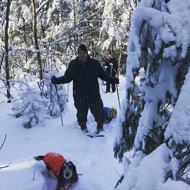 FindYourWild1's tweet photo. We do tailor made pet friendly trips on private reserves, crown land and even in your own ‘back yard’. These #springerspaniels from Washington had a great afternoon leading their two legged friends in the deep powder of #muskoka. Give us a call/howl today. #doglovers #fidofr… https://t.co/0uxR4Tqmz0