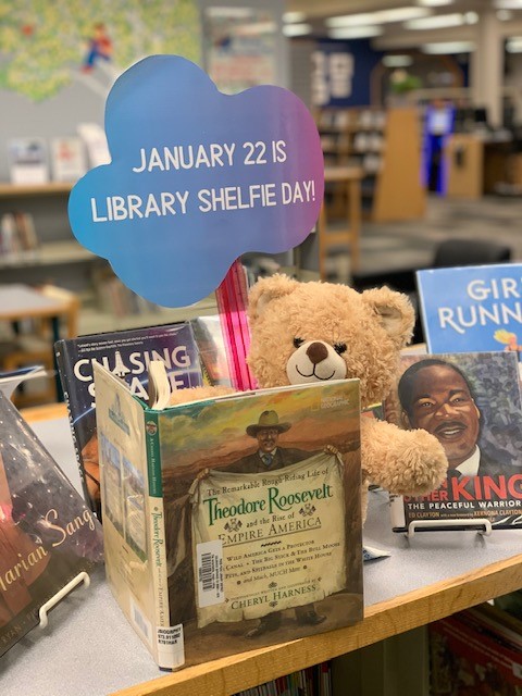 ppld's tweet photo. #LibraryShelfieDay from #RockrimmonLibrary! https://t.co/OStsZ4K3Fg
