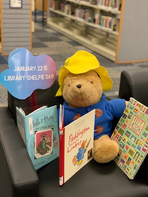 ppld's tweet photo. #LibraryShelfieDay from #RockrimmonLibrary! https://t.co/OStsZ4K3Fg