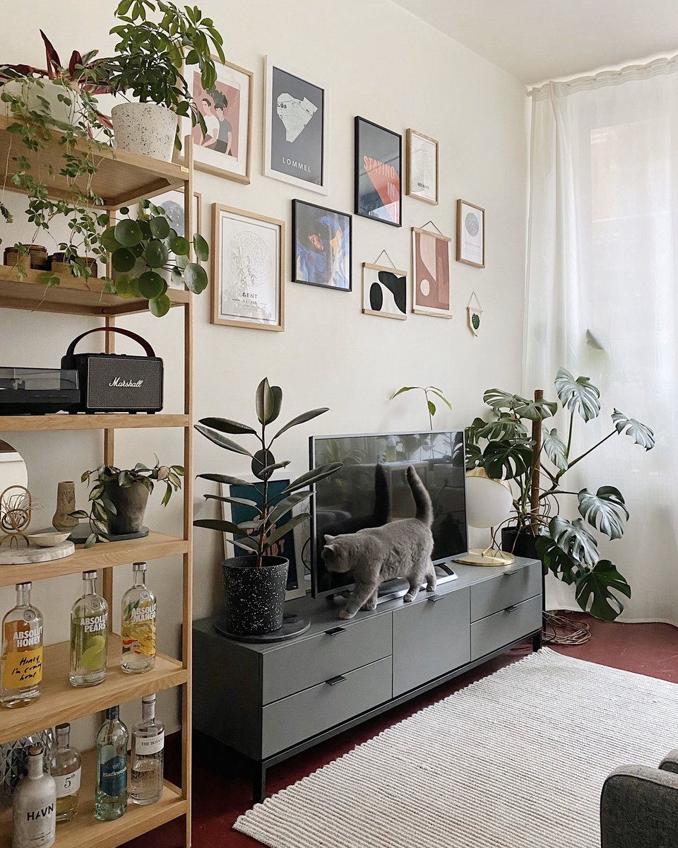 NelsonDeConinck's tweet photo. Bitches think having plants is a personality trait. It’s me, I’m bitches 🤠 https://t.co/YX942LAmum
