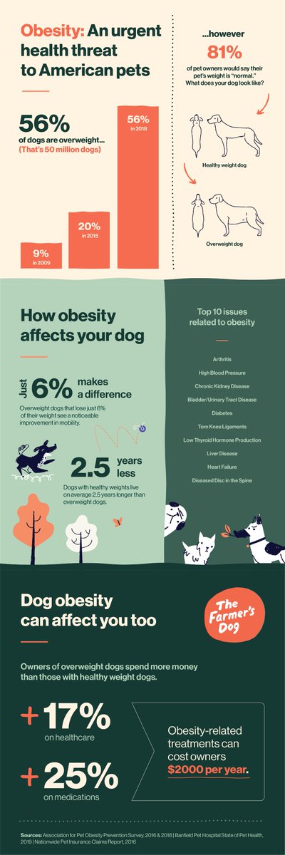 the farmer's dog ads