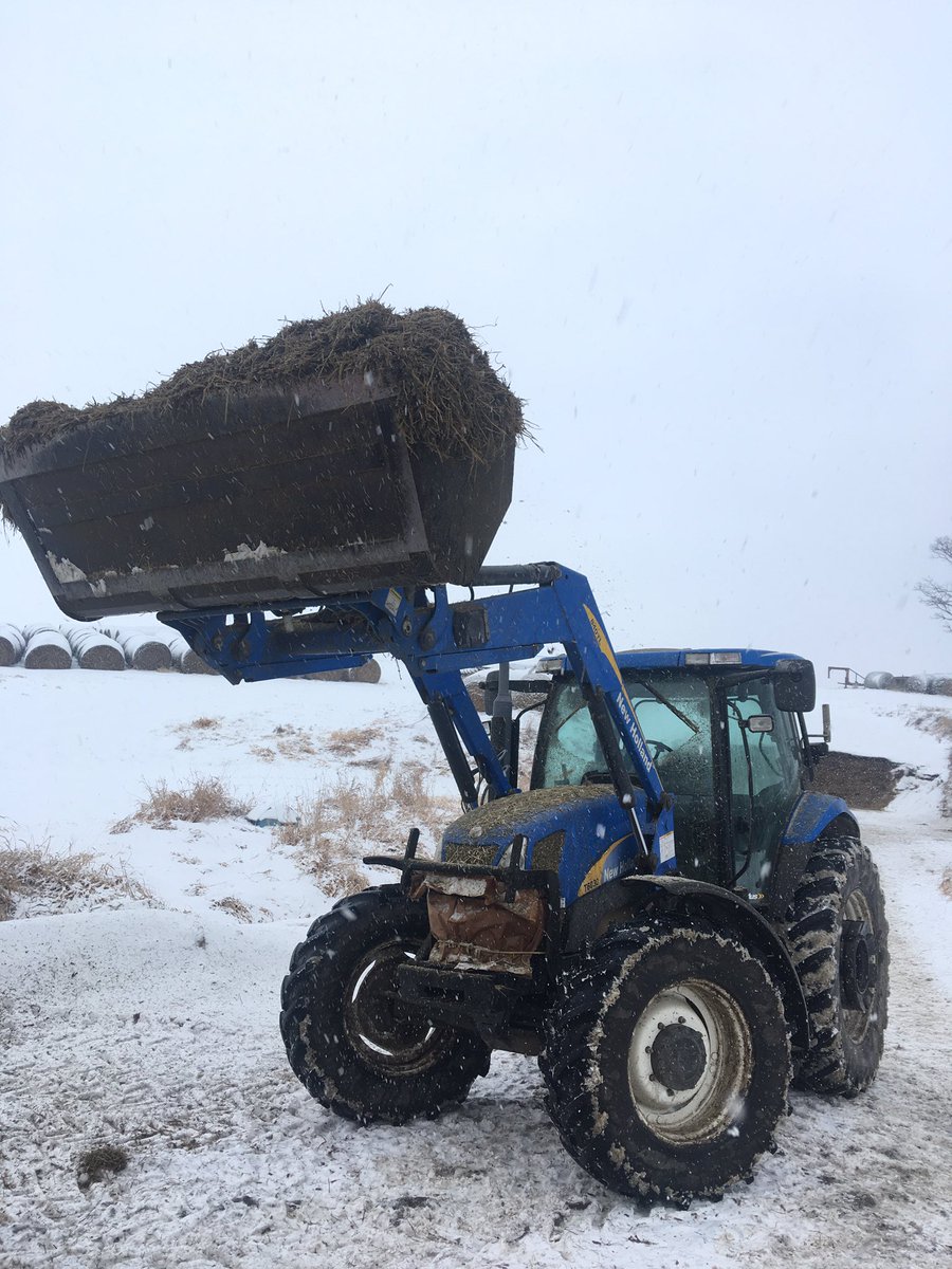 Matt Cline tweet media