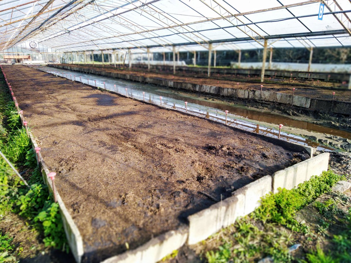 Humus_CLT's tweet photo. CLT si allarga! Leggi il post: https://t.co/QVqSc1feX6

#lombrico #lombricoltura #humus #humusdilombrico #agricolturabiologica #vinobio #ortobio https://t.co/iCo7c0JVJq