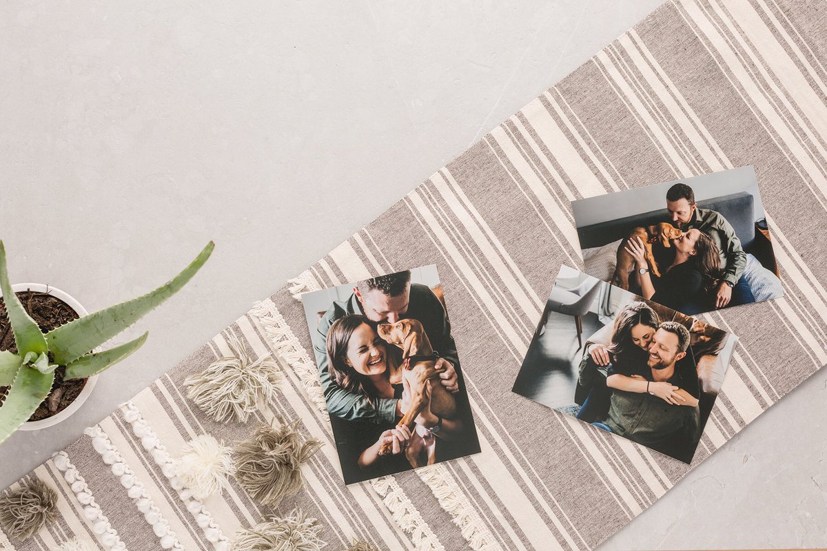 mpixpro's tweet photo. Last Day! 25% off Prints! Sale ends tonight. New Year memories brought to life! No promo code required. Let’s Print! https://t.co/T8eUrf2oRr https://t.co/Aim1qzzExj