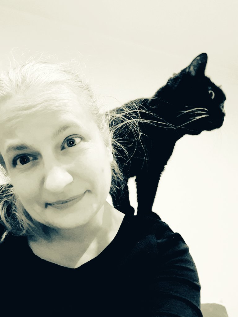 Favoreq's tweet photo. Co tam u Was, bo u nas jak zwykle... 🤣🤣🤣 #DomBezKotaToGłupota #Spacja https://t.co/9hMh4VykvK