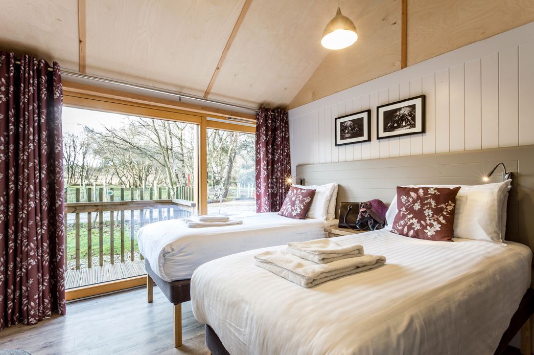Forest Lodges in Dorset