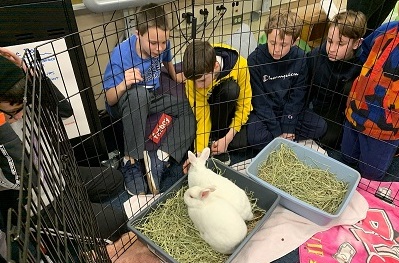 Compassionate, caring kids...Rodgers Forge Elementary launched school-wide supply drive for the animals. Rabbits Tyra & Twiggy stopped in to say thanks! #RodgersForgeElementary
#HumaneEducationWorks
#CompassionateKids