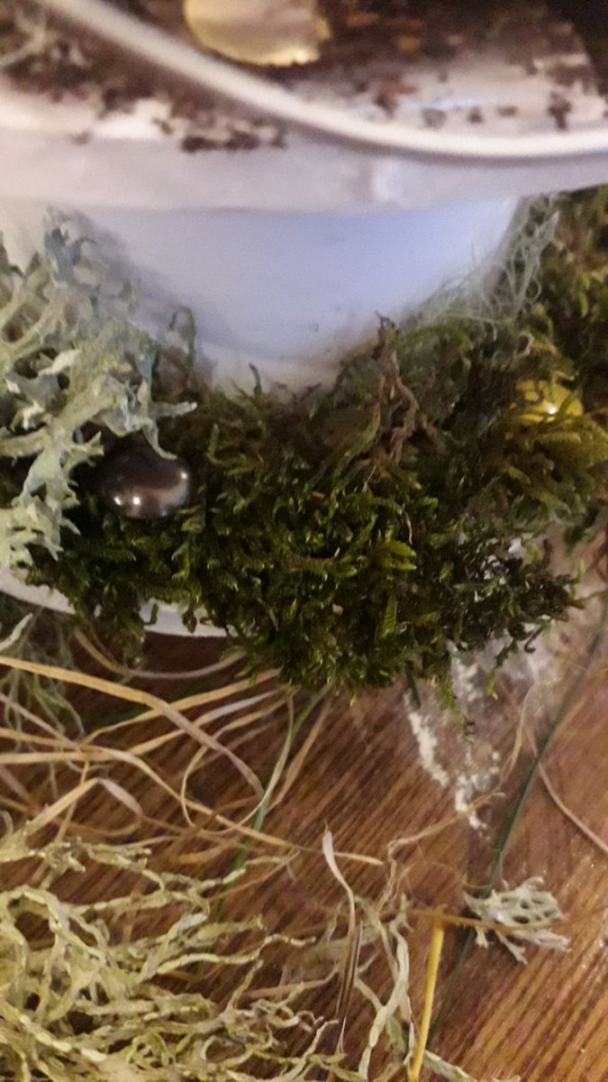 heatinthatsun's tweet photo. Wee model of a vertical permaculture farm made from old windturbine pipes for #gsaws https://t.co/nhCkppYggm