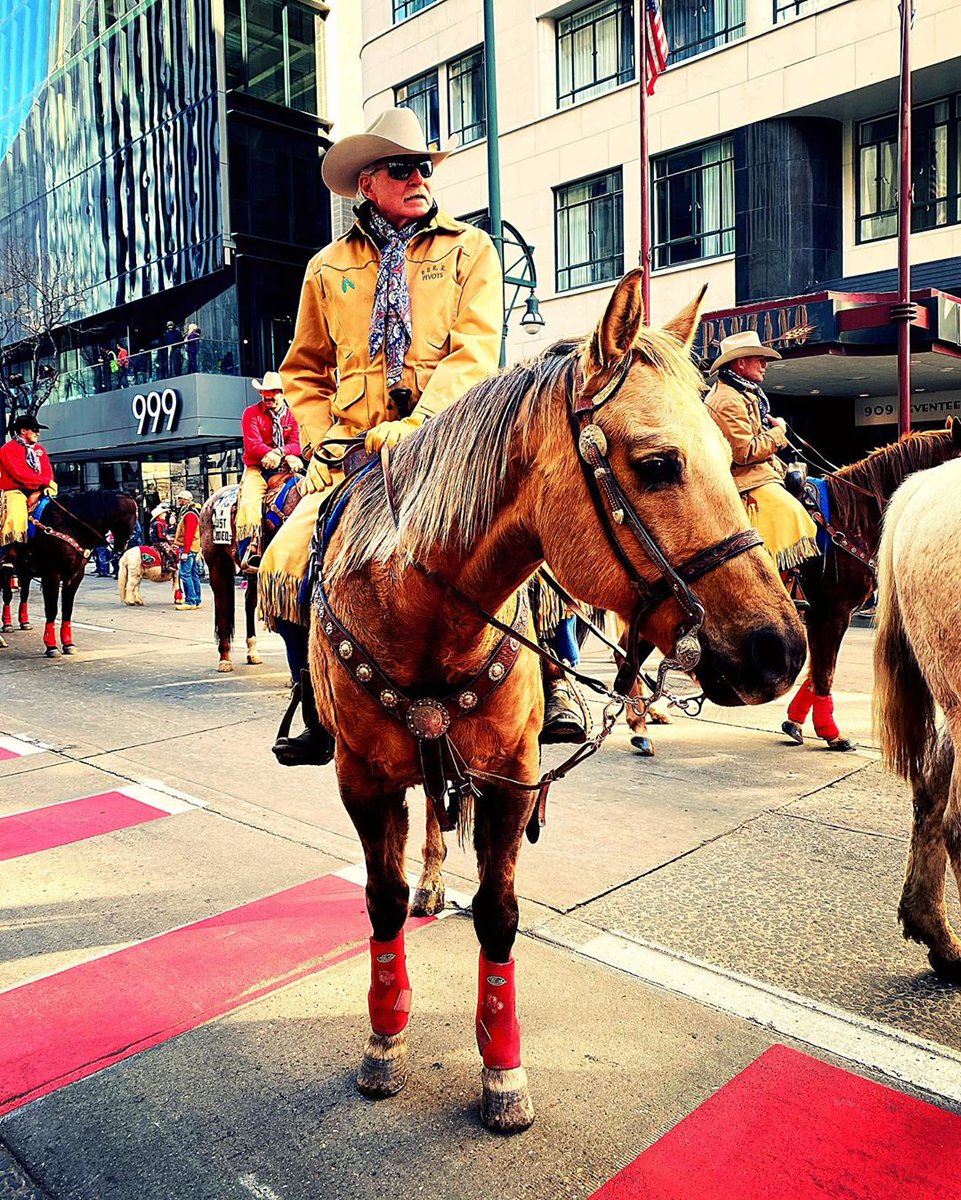 Instagram user @rockymtn_skye snapped this shot from the <a href="/NationalWestern/">National Western</a> parade just outside our front door! Don’t miss this #Colorado tradition - which features horse shows, rodeos, tractor races and much more – through this Sunday, Jan. 26. #DiscoverThisWay