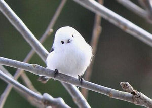 ` . ♡ มัมหมีน้องรูล ·° tweet media