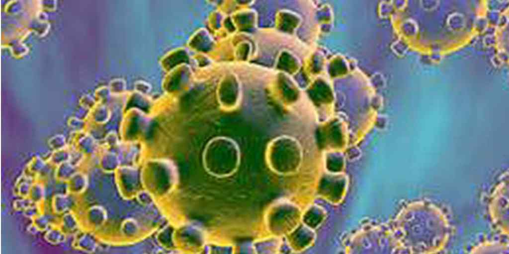 connectrue's tweet image. coronavirus can be fatal; symptoms connectrue.com/coronavirus-ca…