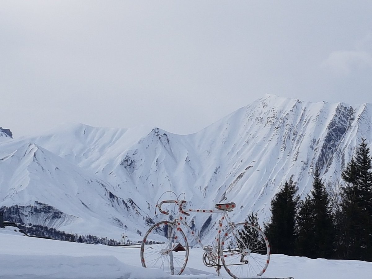 #Randonnee de ce matin avec le deuxième groupe au col de Molard. 
Un nouvel ami nous a accompagné toute la randonnée : surnommé "Panini".
