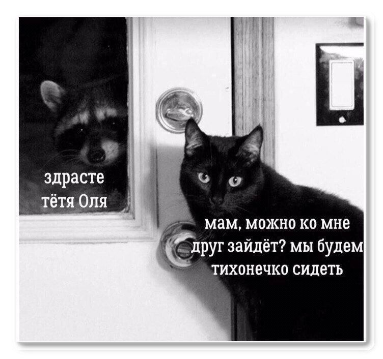 сон Маяковского (@mikhasya8080) on Twitter photo 