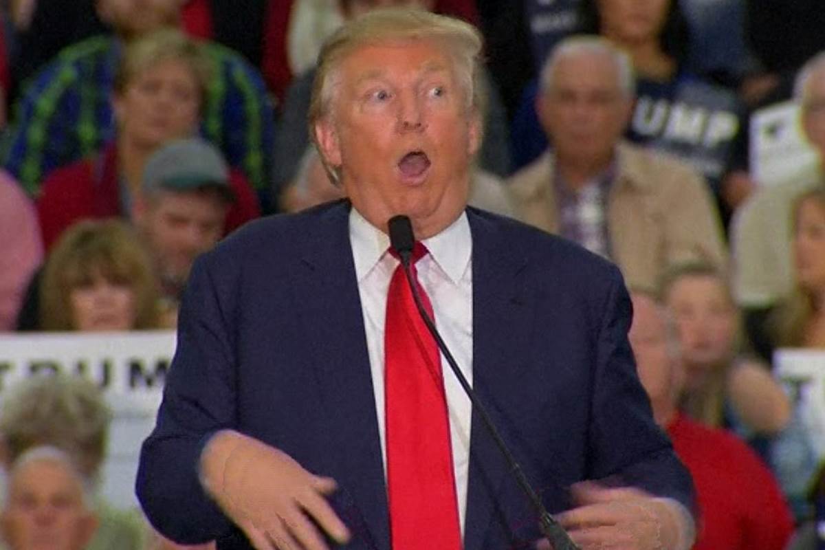 gina rienne tweet media