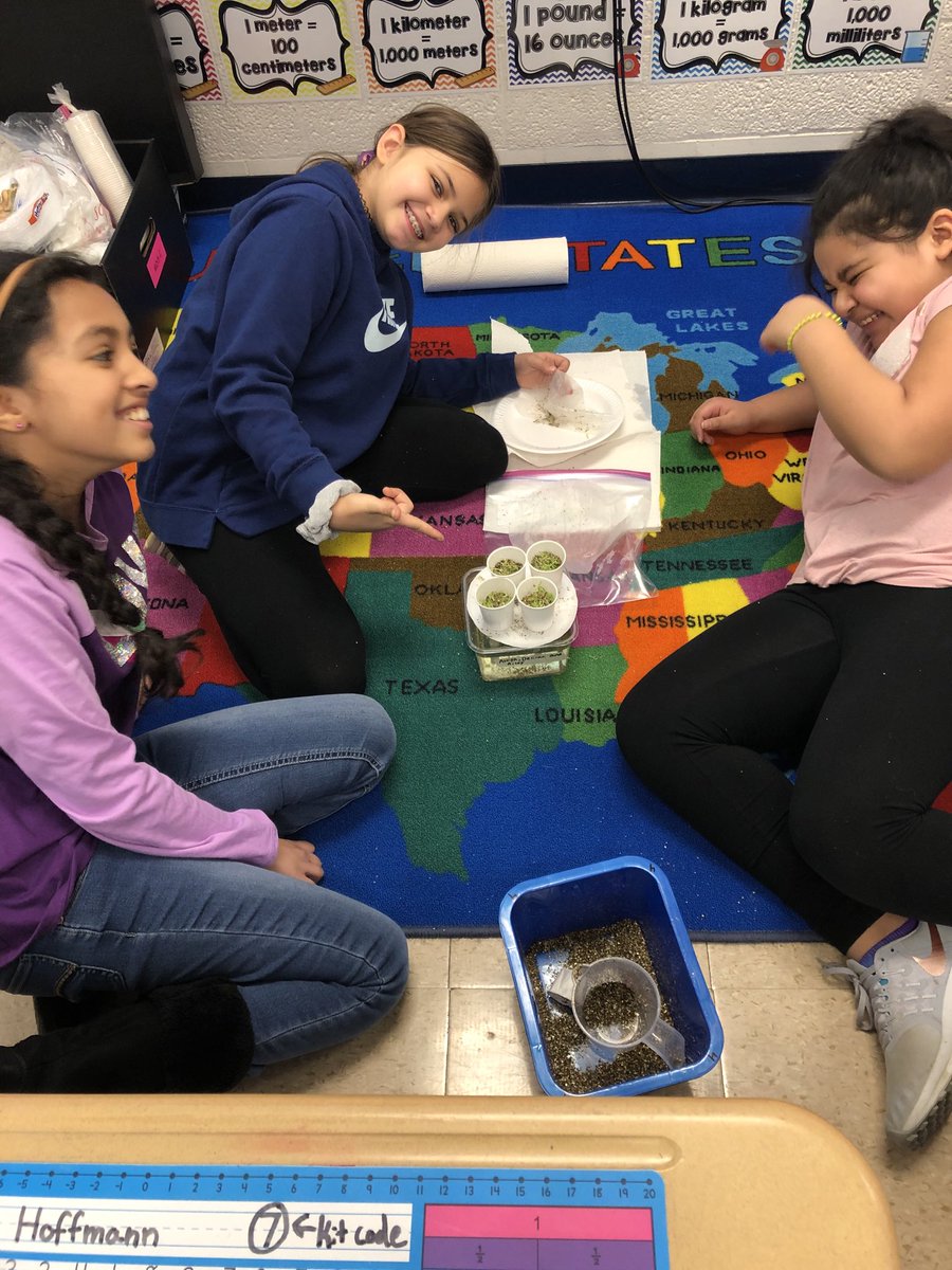 pulcianisclass's tweet photo. Planting our seedlings! #hydroponics #weare44 #madison44 https://t.co/lZ8jxUwnPL