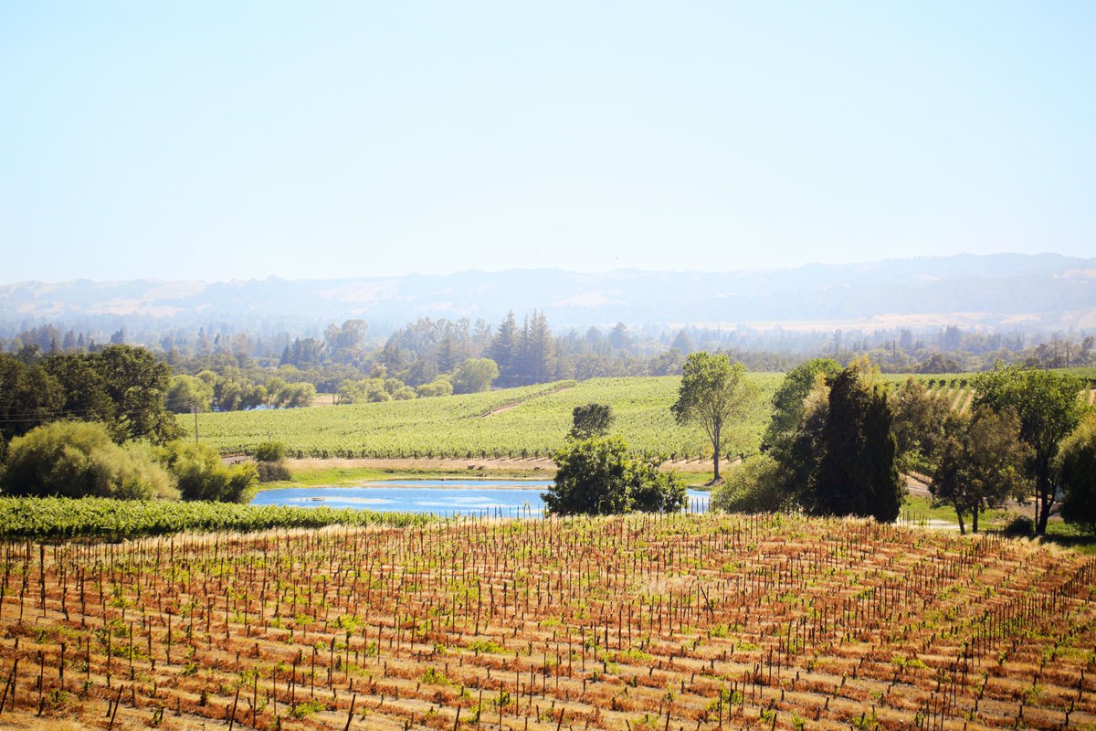 LoFiAperitifs's tweet photo. 100% California made.
Lo-Fi Aperitifs are made using Napa Valley grapes & natural herbs and botanicals. Add them to your cocktails, or sip them straight. #KeepItLoFi https://t.co/eamiSiRlDf