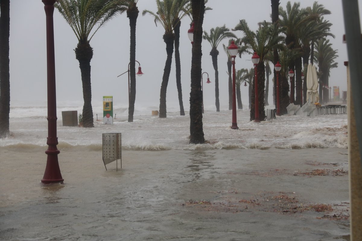 3CatInfo's tweet photo. Un litoral català massa urbanitzat s'haurà d'adaptar a més temporals com el Gloria
https://t.co/1HZMSOfMsp https://t.co/8YFhQ3JPL2