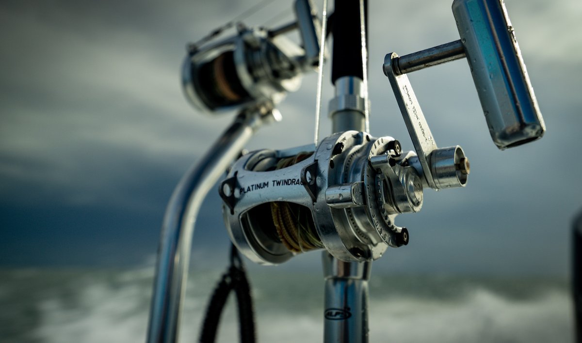 AccurateFishing's tweet photo. The ATD offers a smooth, even drag that is consistent through the fight with little to no start up inertia, alleviating the possibility of high drag spikes when line comes off the reel Harness the ultimate stopping power! @mfinmedia
-
https://t.co/3AVoUdU910 https://t.co/MAQxynnMEM